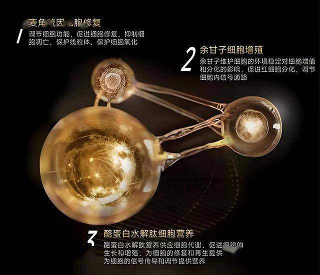 bbm蓝莓交易平台贵州省2025年度省市县乡四级机关统一面向社会曝光招录公务员(人民警察)笔试暨省市两级机关曝光遴选公务员笔试温馨提示